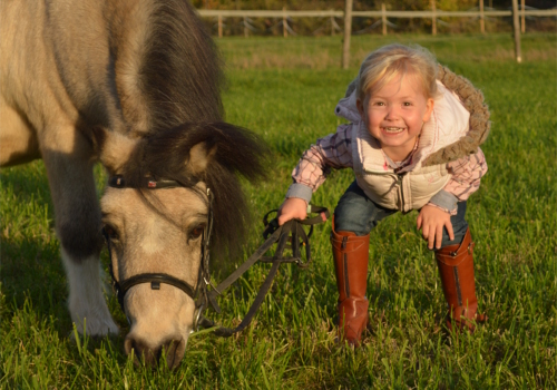 Pferdeerlebnistage: Kindern Zeit mit Ponys schenken