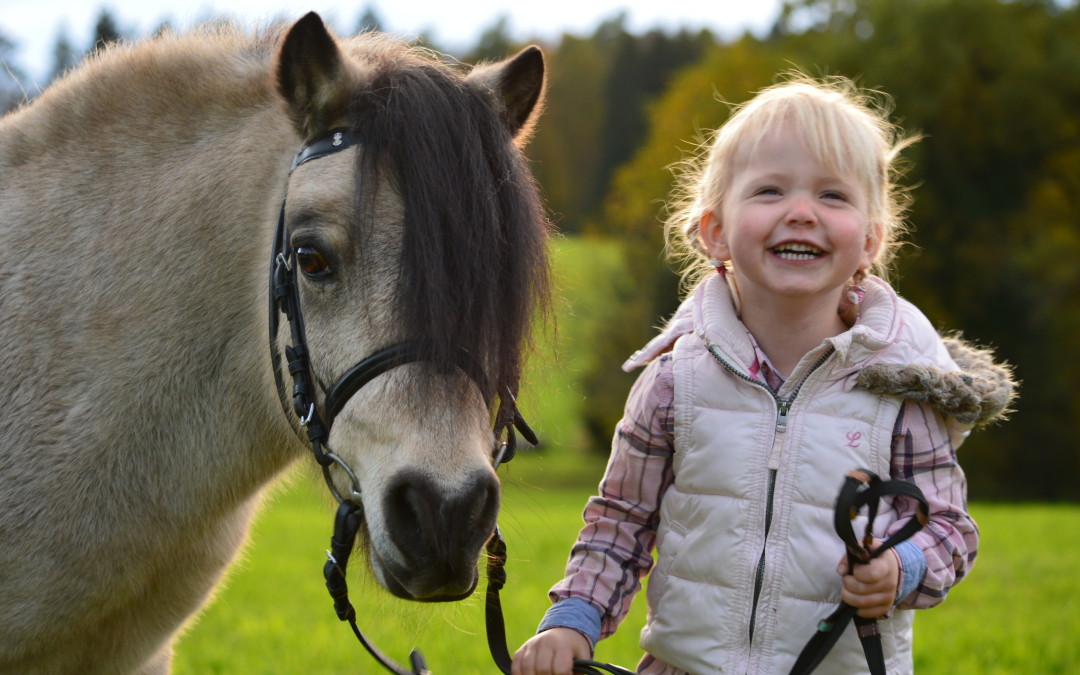 „Pferde für unsere Kinder e.V.“  feiert sein 1-jähriges Jubiläum