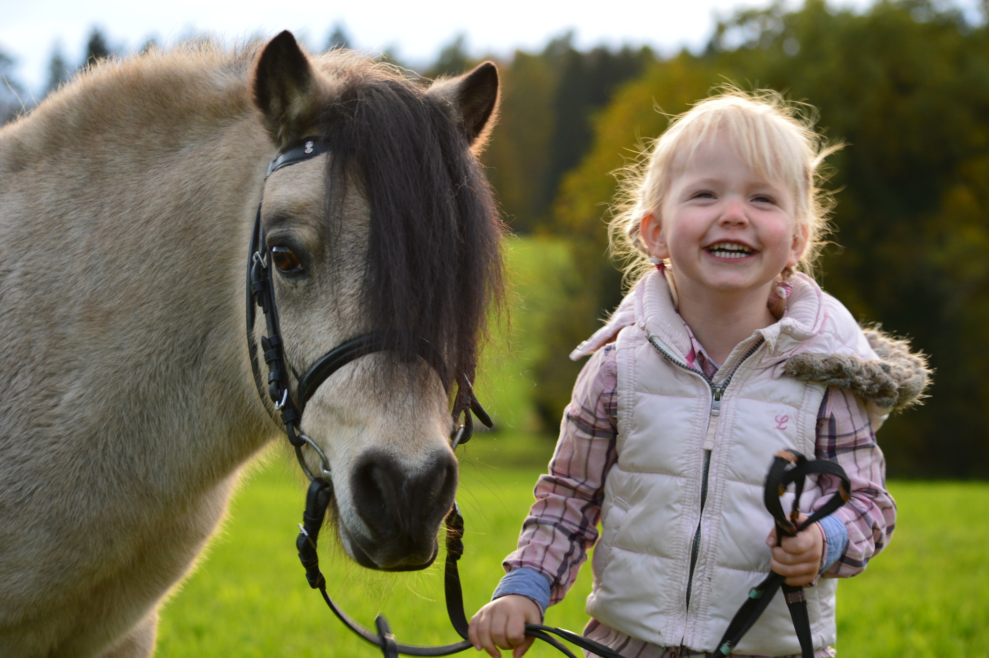 1 Jahr "Pferde für unsere Kinder". / Foto: Markus Lämmle 1 Jahr "Pferde für unsere Kinder". / Foto: Markus Lämmle