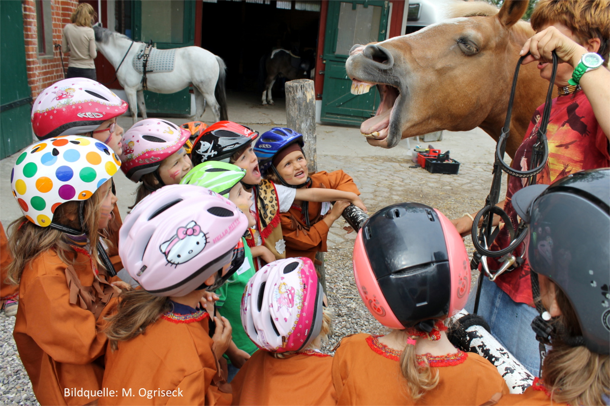 Der Pony-Führerschein® - Ein Reiterlebnis mit therapeutischem Ansatz