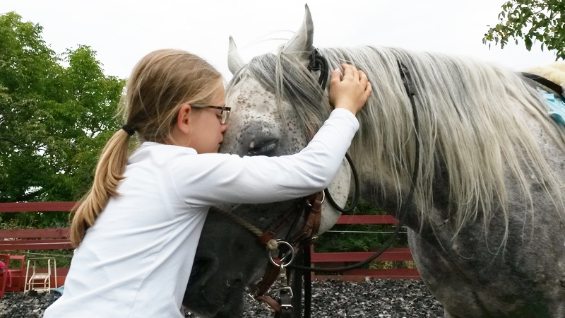 Verbindung Pferd – tiergestützte Entwicklungsförderung