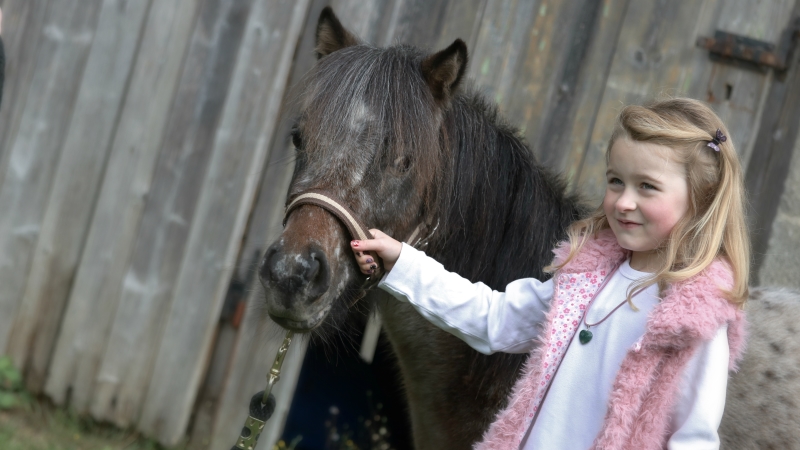 Pony-Workshop Niederbrombach