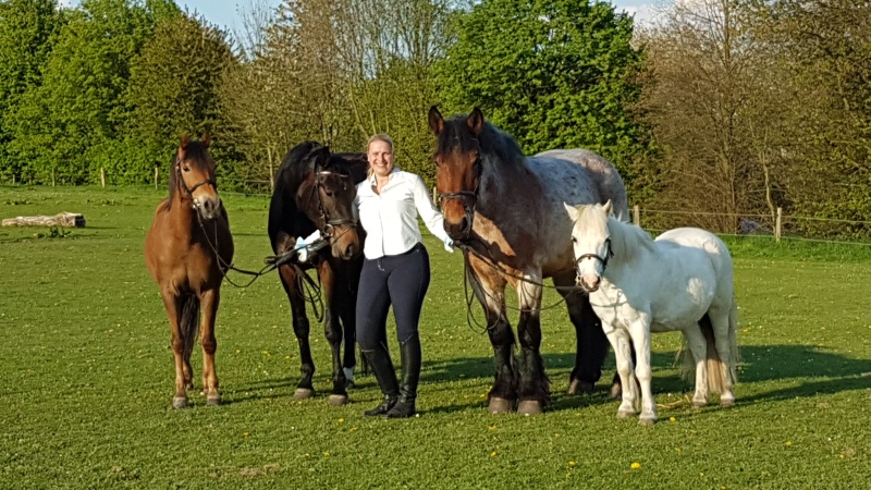 Reitschule Evelyn Biesenbach