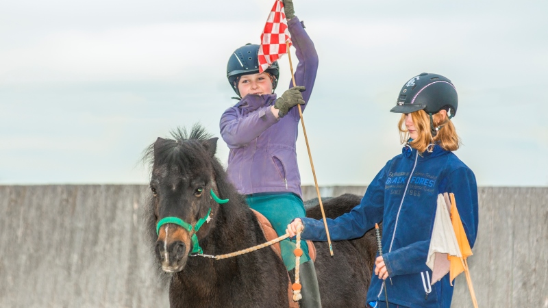 HIPPOLINI Reitschule Nicole Hugger