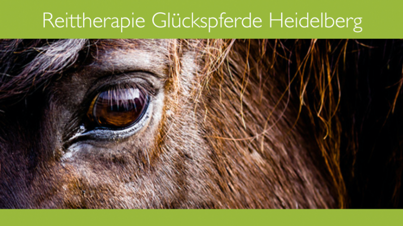 Reittherapie Glückspferde