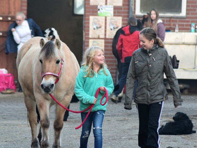 Pilotprojekt Trainer C Reiten Basissport mit dem Schwerpunkt Kinderreitunterricht 