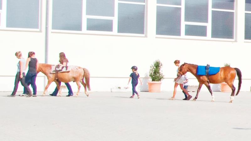 Kinderförderzentrum Therapeutisches Reiten – VzF Taunus e.V.