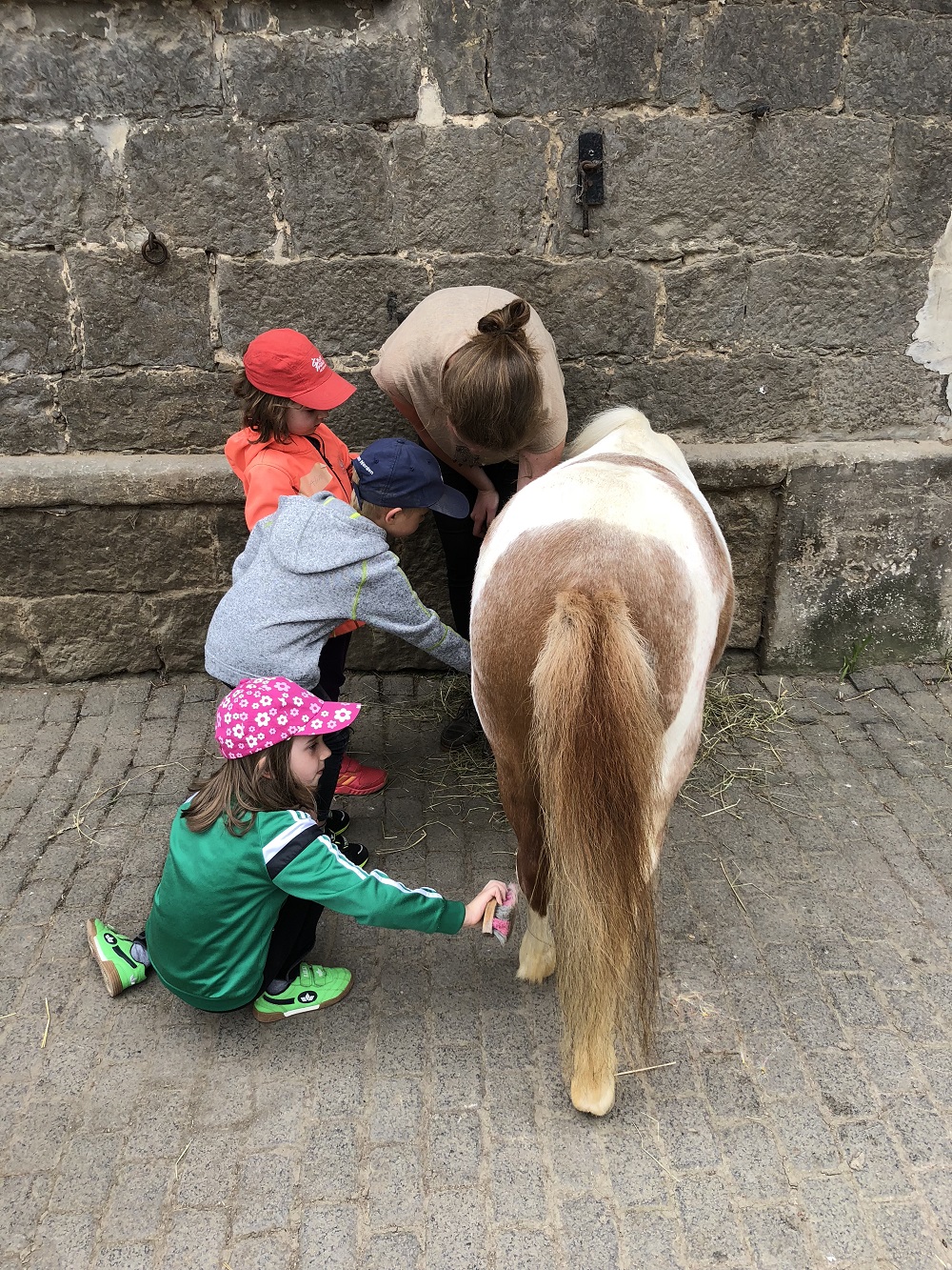 Kinder putzen Pony