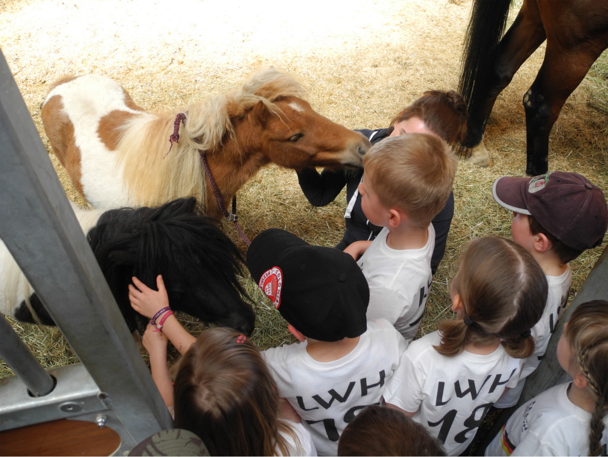 Kinder und Ponys auf dem Gestüt von Lisa und Thomas Müller