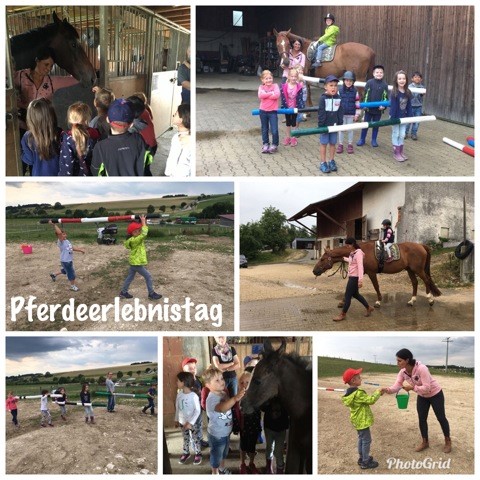 Pferdeerlebnistag Foto-Collage Mayer 2018 - Pferde für unsere Kinder e.V.