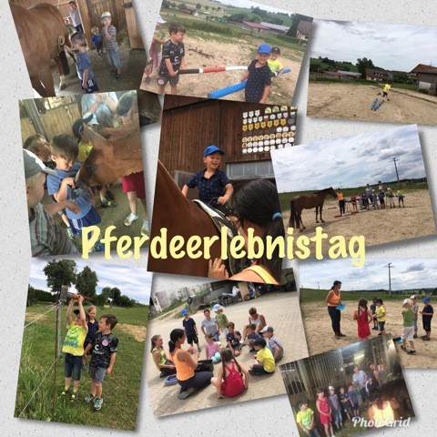 Pferdeerlebnistag Foto-Collage Mayer 2018 - Pferde für unsere Kinder e.V.