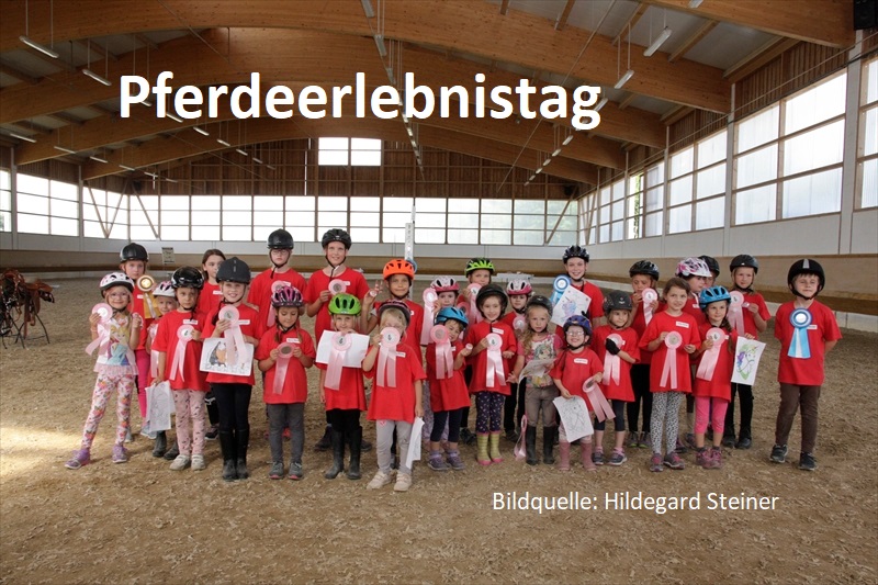 Pferdeerlebnistag beim Reitverein Thierhaupten