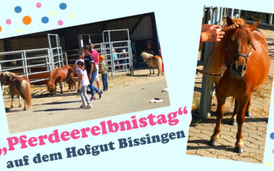 „Pferdeerelbnistag“ auf dem Hofgut Bissingen