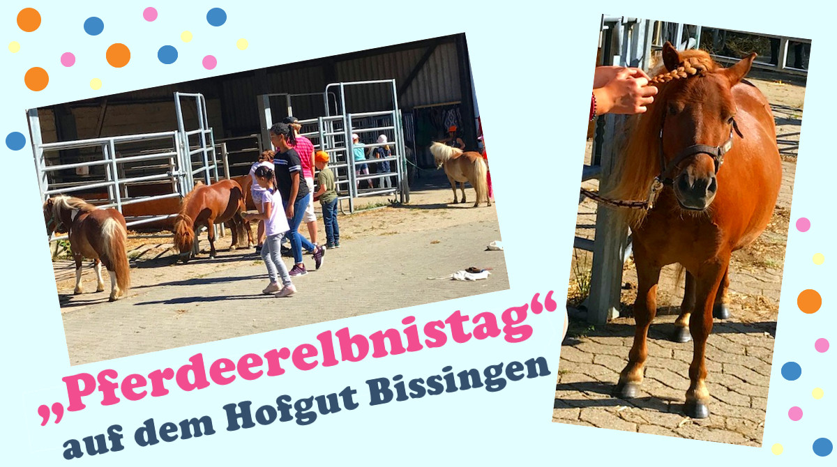 Pferdeerlebnistag Hofgut Bissingen - Pferde für unsere Kinder e.V.