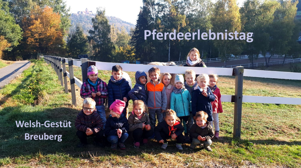 Pferdeerlebnistag - Welsh-Gestüt Breuberg - Pferde für unsere Kinder e.V.