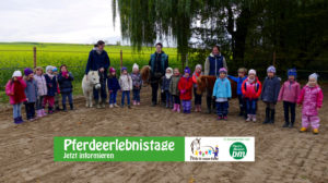 Pferde für unsere Kinder e.V. Pferdeerelbnistag Pferdefreunde Brauerhof 2019