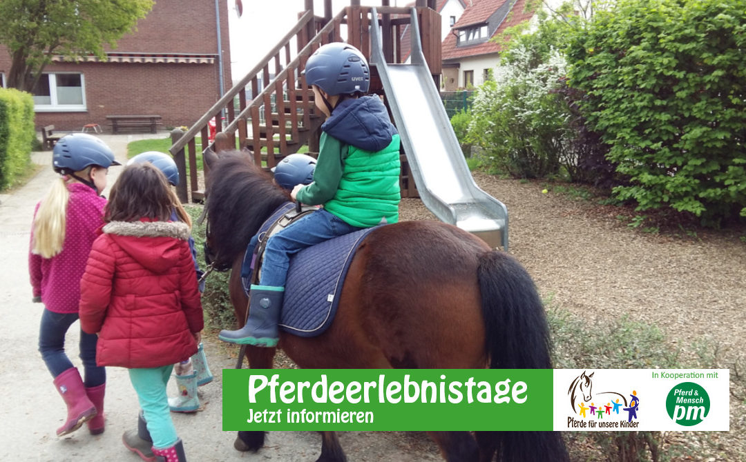 „Pädagogik und Förderung mit Pony und Muli“ ermöglicht „Pferdeerlebnistage“