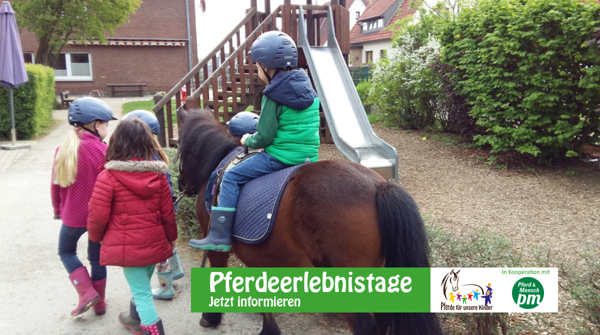 Pferdeerlebnistag Wolf-Friedrich - Pädagogik und Förderung mit Pony und Muli