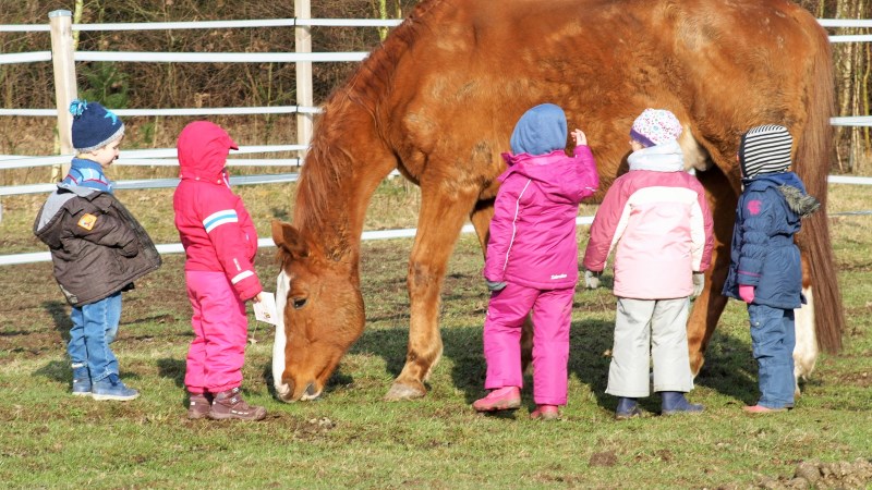 LERNTIERE an der Lohe