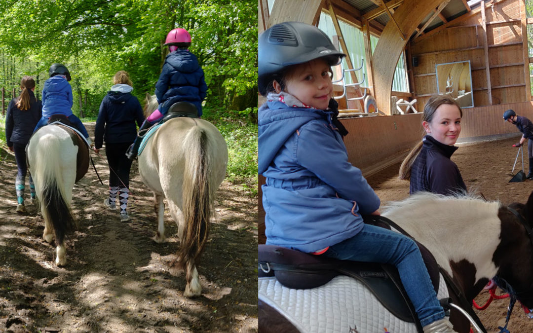 Den Pferden ganz nah beim Kindertag auf dem Gestüt Floggensee