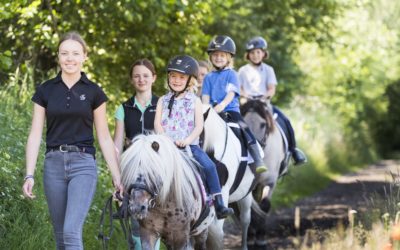 „Pferde für unsere Kinder e.V.“ sucht Teamleiter für das „Pferdecamp“ 2019 / 2020