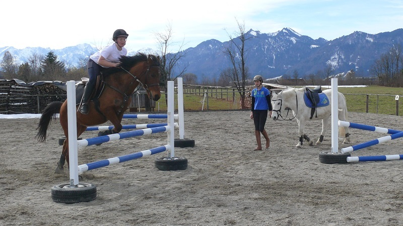 Equicross Reitschule und Ausbildungsstall