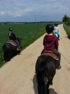 Pferde für unsere Kinder e.V.-Interview Zwergen-Ranch und Outdoor-Kindergarten Göhren 2019 (4)