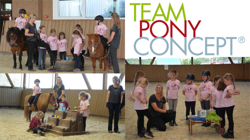 Team Pony Concept®