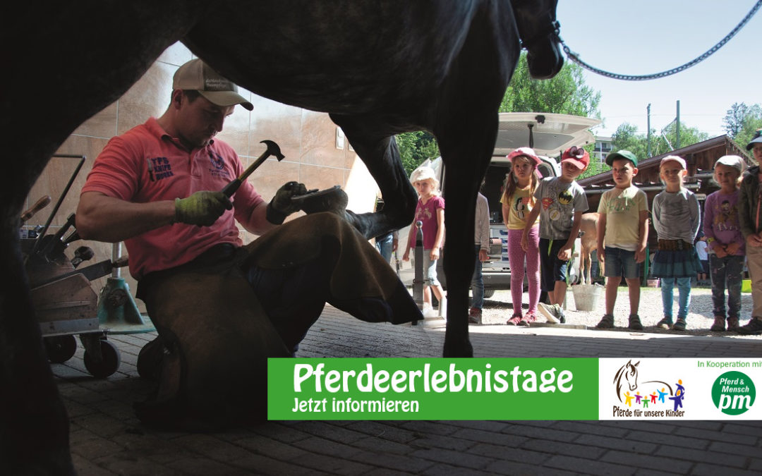 „Pferdeerlebnistag“ in der Reitschule Bierling