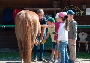 PfuKeV-Pferdeerlebnistag Reitschule Lena Bierling