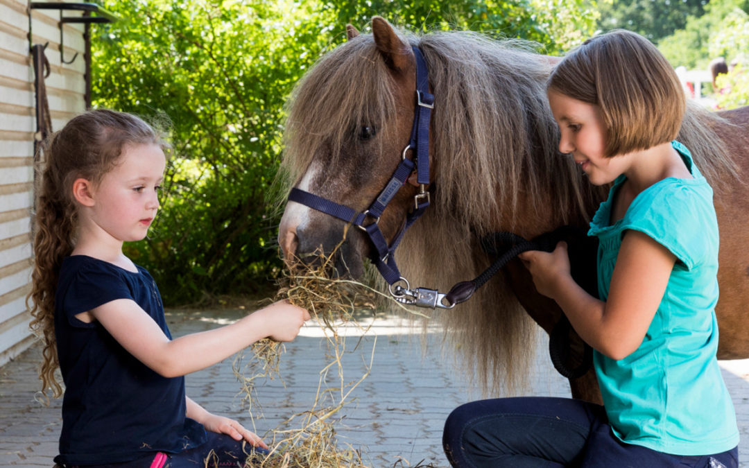 1. Symposium zur Zukunft von Kinderreitschulbetrieben