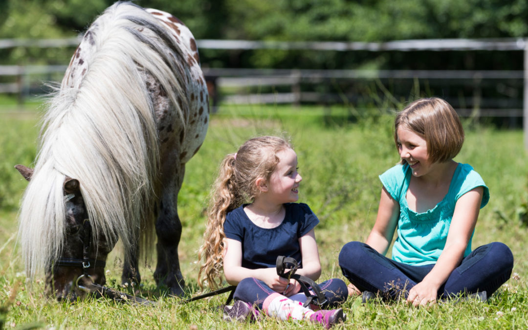„Pferde für unsere Kinder e.V.“ -WEIHNACHTSAKTION: Kindern Zeit mit Pferden schenken!