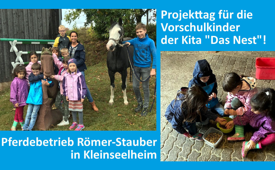 Projekttage mit Patenpony Eros