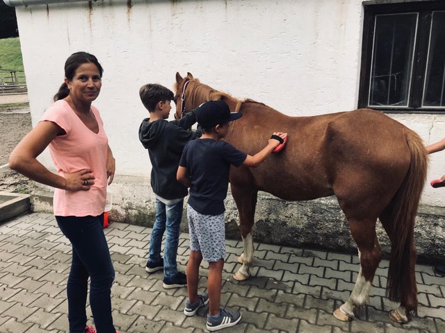 Pferde für unsere Kinder e.V. Pferdeerlebnistage - Andrea Zender Erlebnishof Wies
