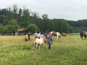 Pferde für unsere Kinder e.V. Pferdeerlebnistage - Andrea Zender Erlebnishof Wies