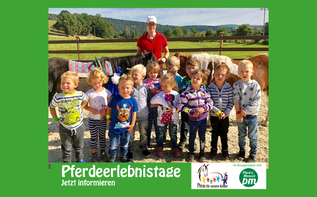 Pferdeerlebnistag mit PferdeFairStand