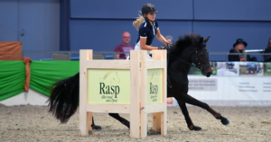 Faszination Pferd Nürnberg 2019 Connemara Gestüt - Fotoagentur Dill - Rainer Dill