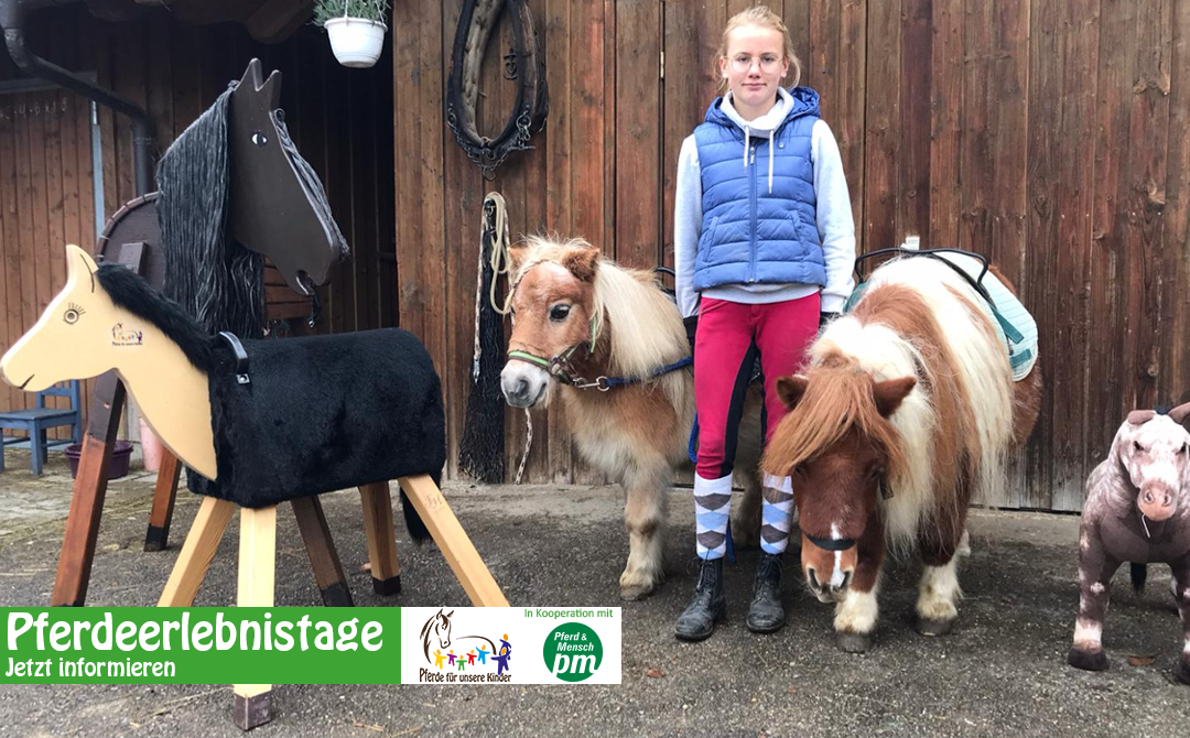 Pferdeerlebnistage auf dem Ponyhof Lutz