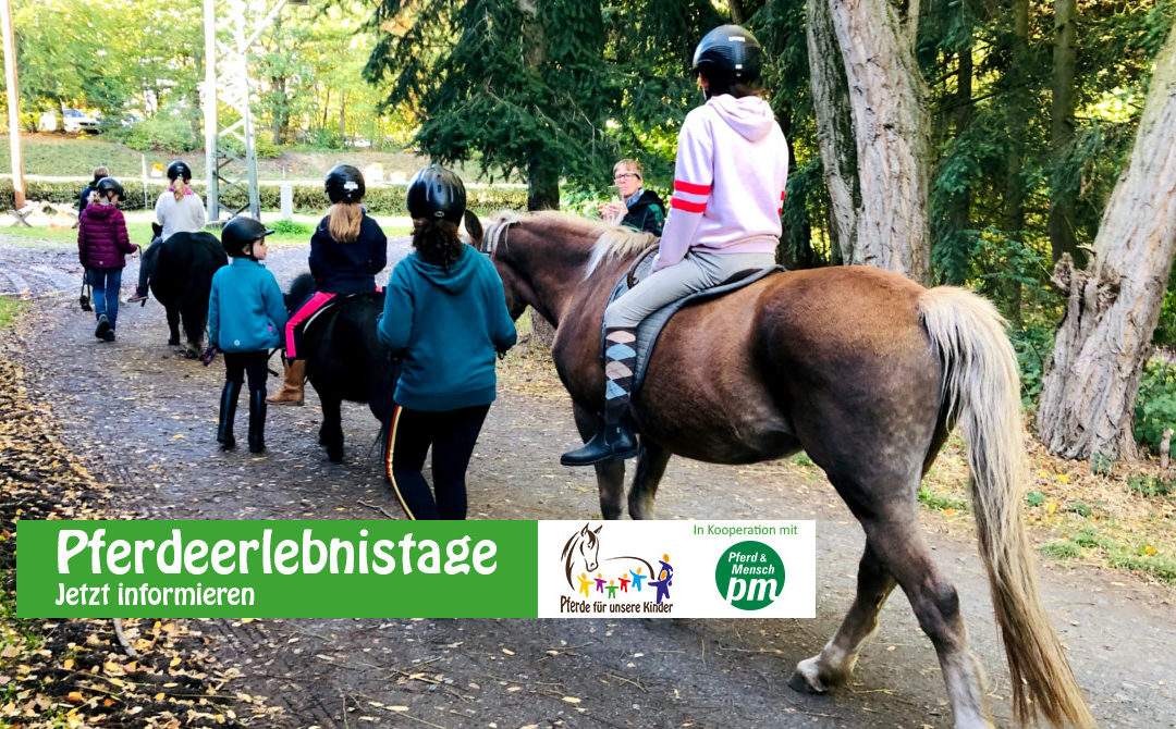 Pferdeerlebnistag im Reiterverein Bissingen