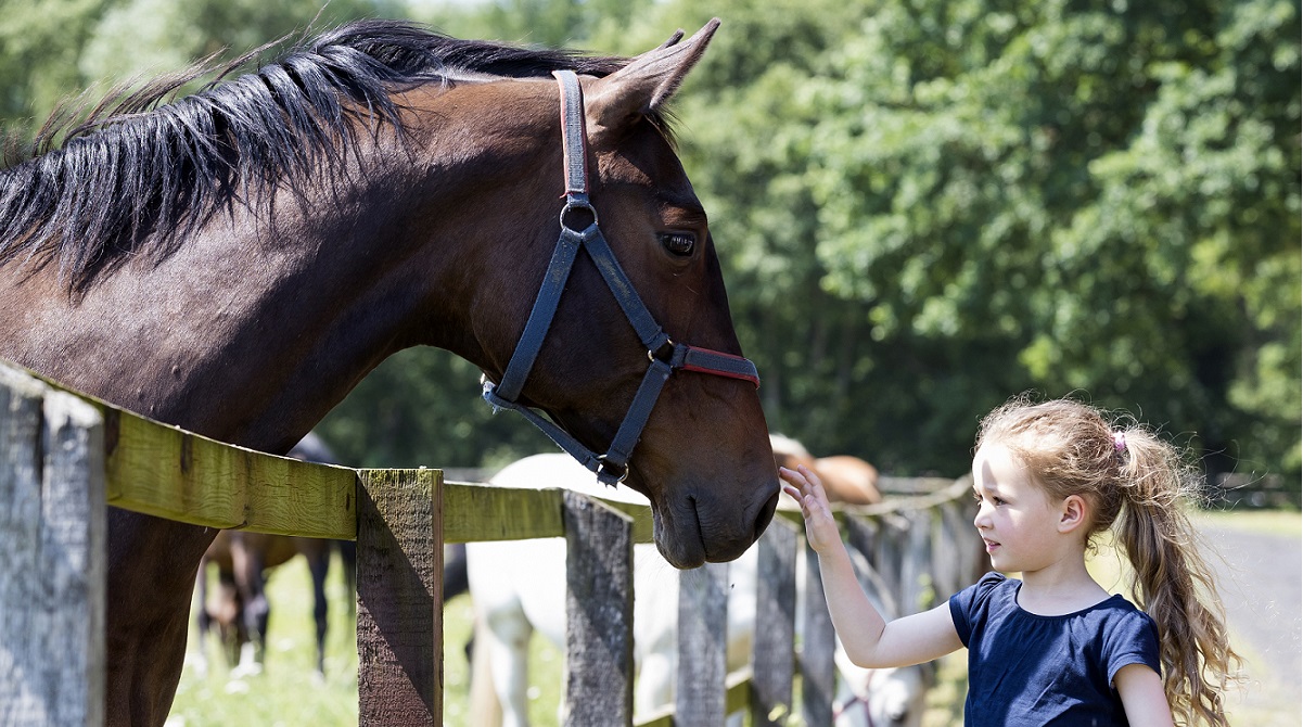 Pferde für unsere Kindere.V. Mädchen und Pferd - c Thomas Hellmann