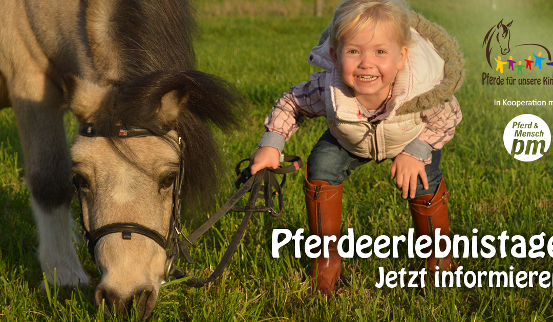 Pferdeerlebnistage: Kinder ans Pferd bringen