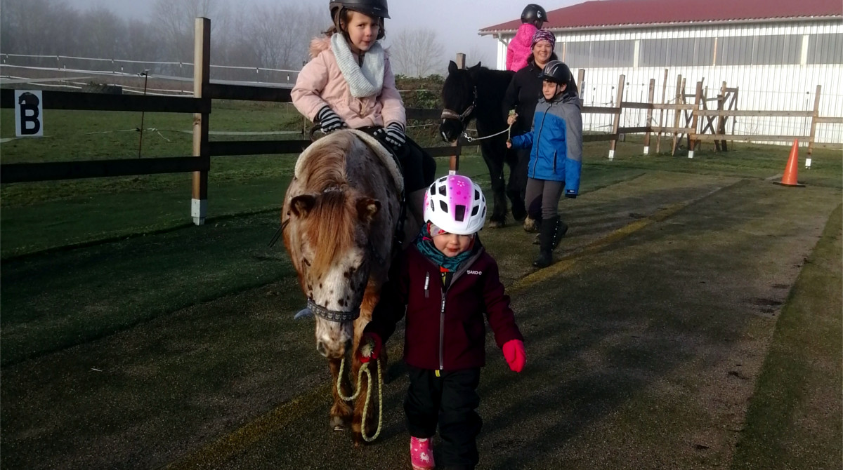 Stephanie Sauler - Schenke Kindern Zeit mit Pferden - Pferde für unsere Kinder e.V.