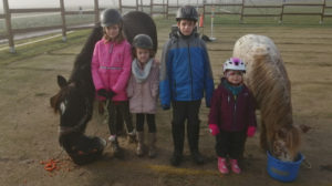 Stephanie Sauler - Schenke Kindern Zeit mit Pferden - Pferde für unsere Kinder e.V.