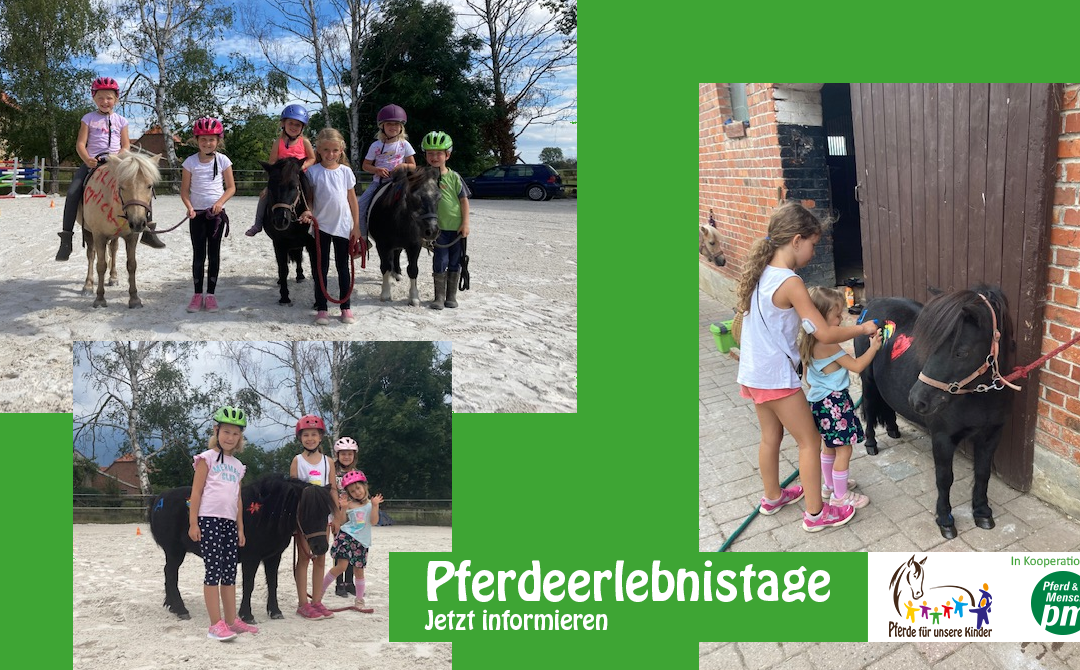 Pferdeerlebnistage starten wieder!