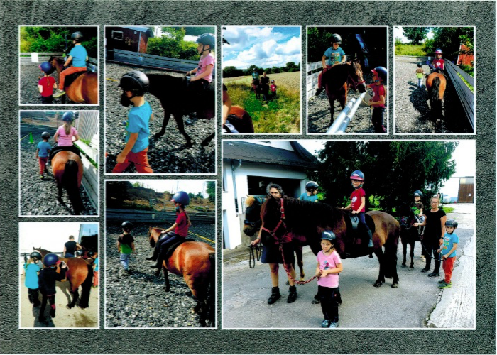 Besuch der Königskinder bei den Ponys auf dem Mühlfeldhof