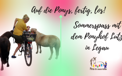 Sommerspaß mit dem Ponyhof Lutz in Legau