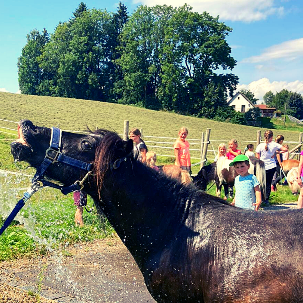 Sommerspaß mit dem Ponyhof Lutz in Legau - Pferde für unsere Kinder