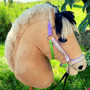 Sommerspaß mit dem Ponyhof Lutz in Legau - Pferde für unsere Kinder (5) Sommerspaß mit dem Ponyhof Lutz in Legau - Pferde für unsere Kinder