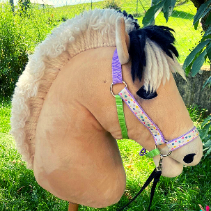 Sommerspaß mit dem Ponyhof Lutz in Legau - Pferde für unsere Kinder