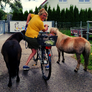 Sommerspaß mit dem Ponyhof Lutz in Legau - Pferde für unsere Kinder